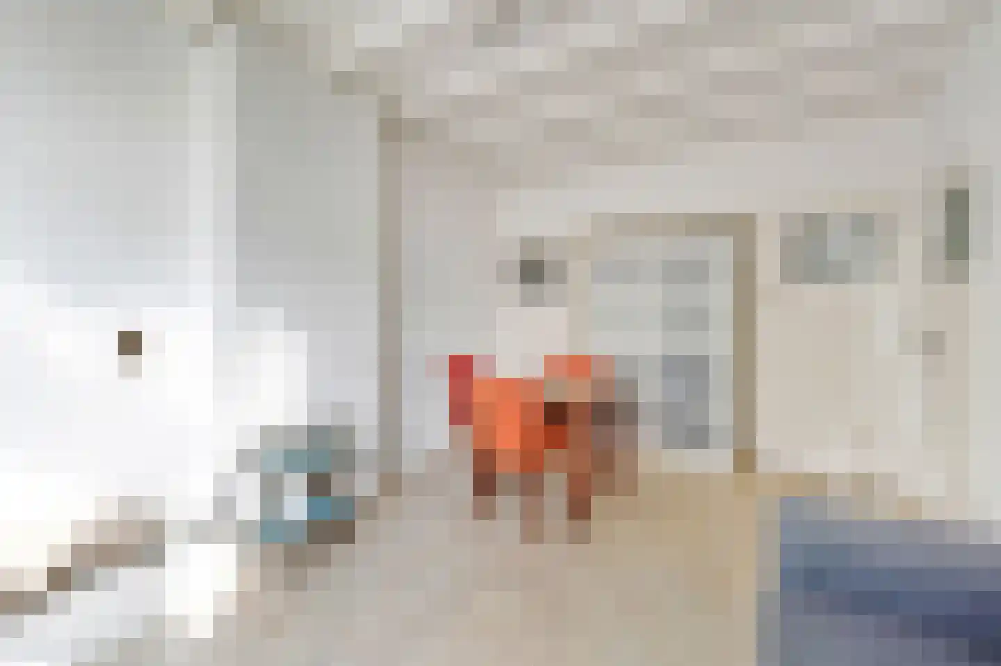 Theresiastraat 420 Den Haag thumbnail 11