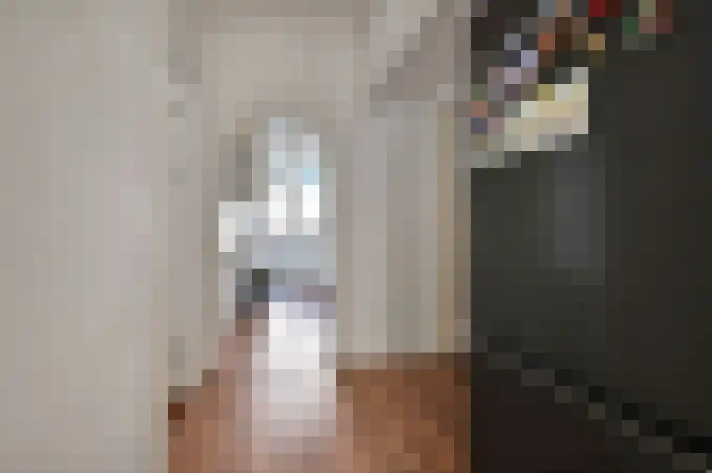 Theresiastraat 420 Den Haag thumbnail 12