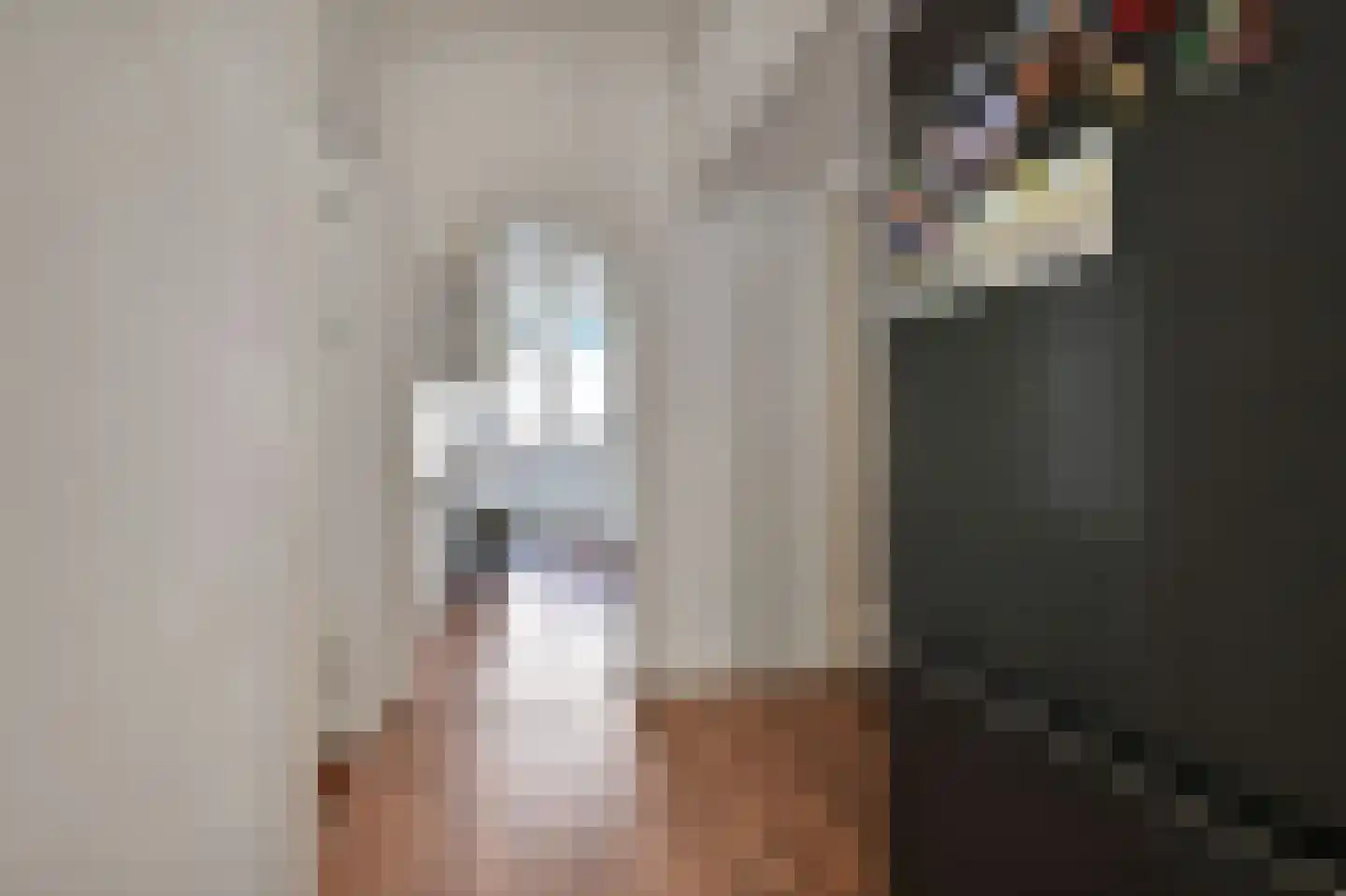 Theresiastraat 420 Den Haag thumbnail 12