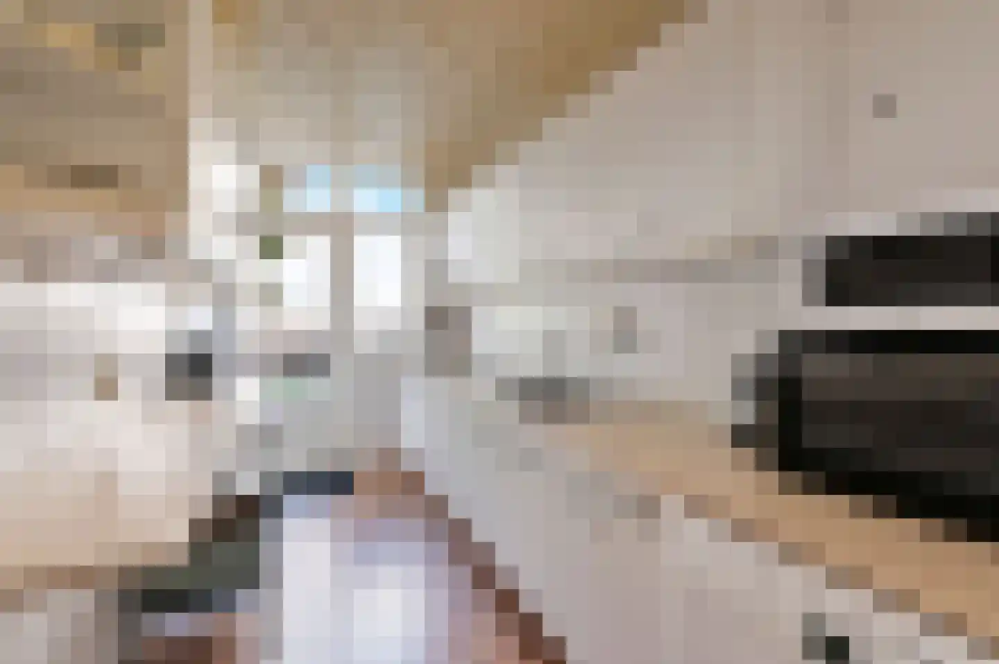 Theresiastraat 420 Den Haag thumbnail 13