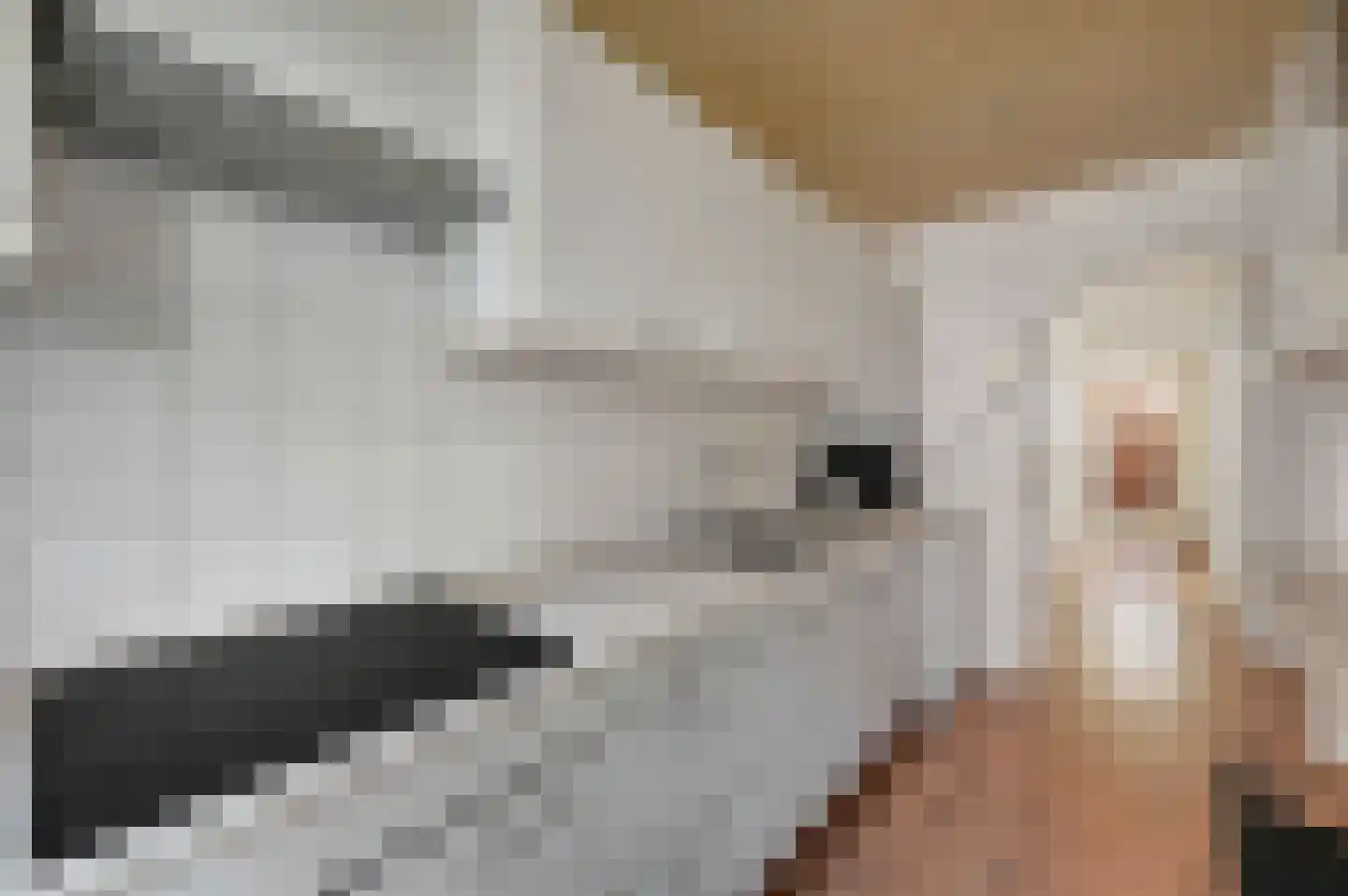 Theresiastraat 420 Den Haag thumbnail 14