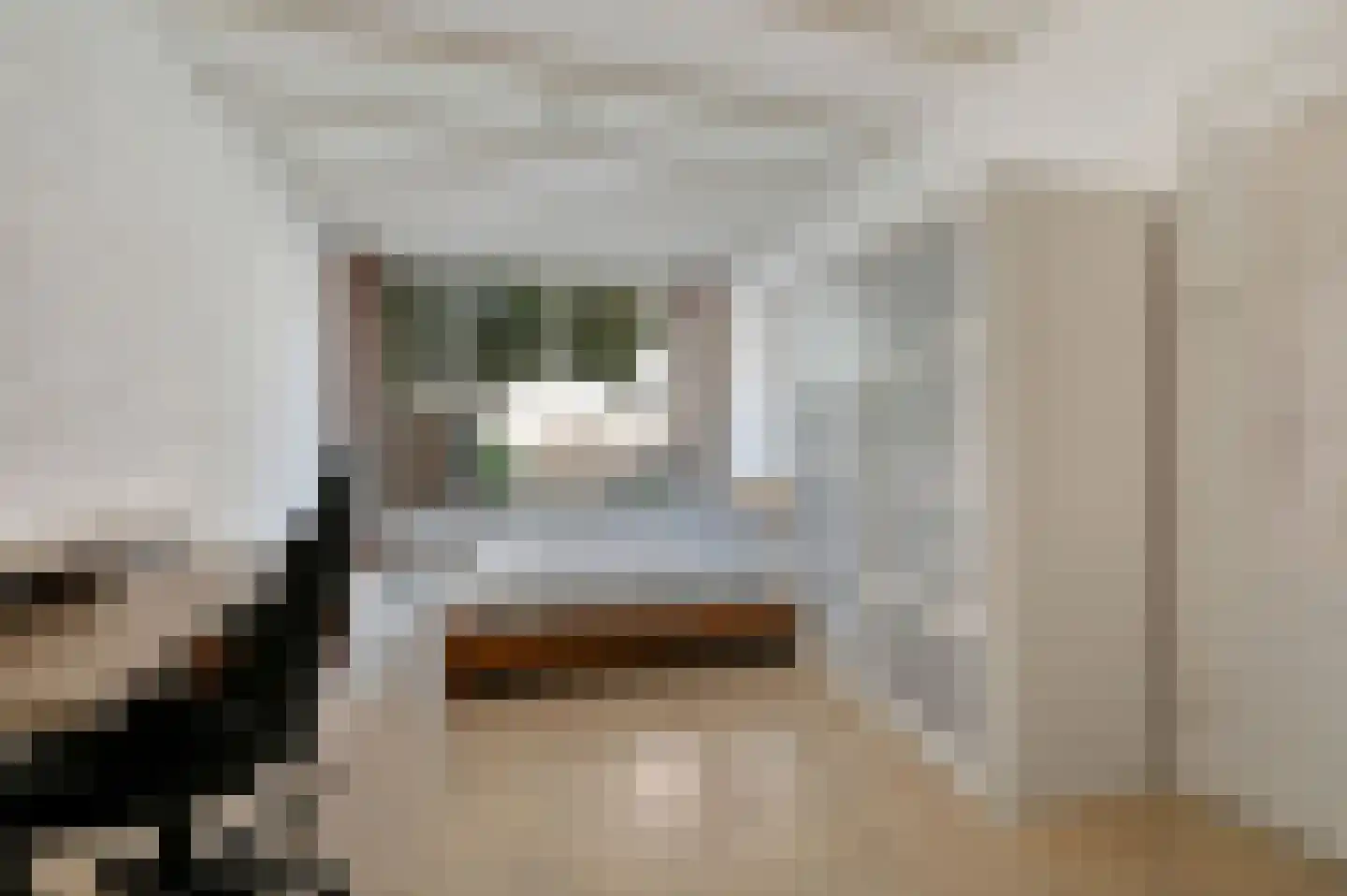 Theresiastraat 420 Den Haag thumbnail 15