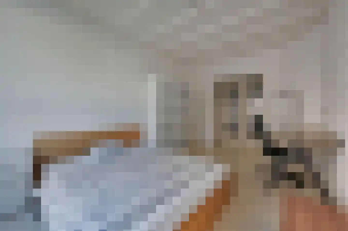 Theresiastraat 420 Den Haag thumbnail 16