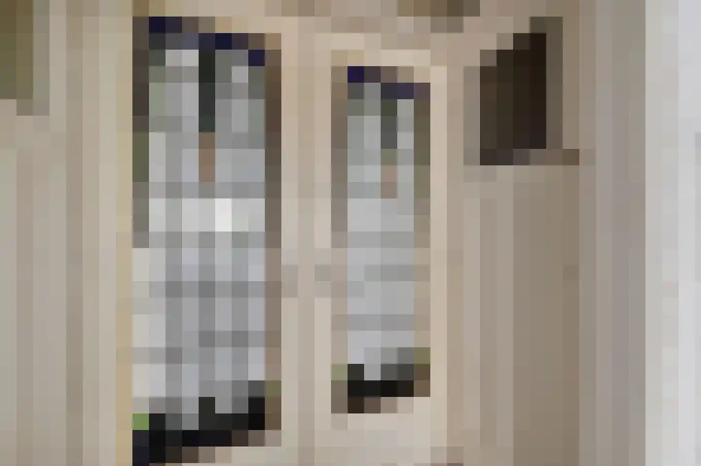 Theresiastraat 420 Den Haag thumbnail 17
