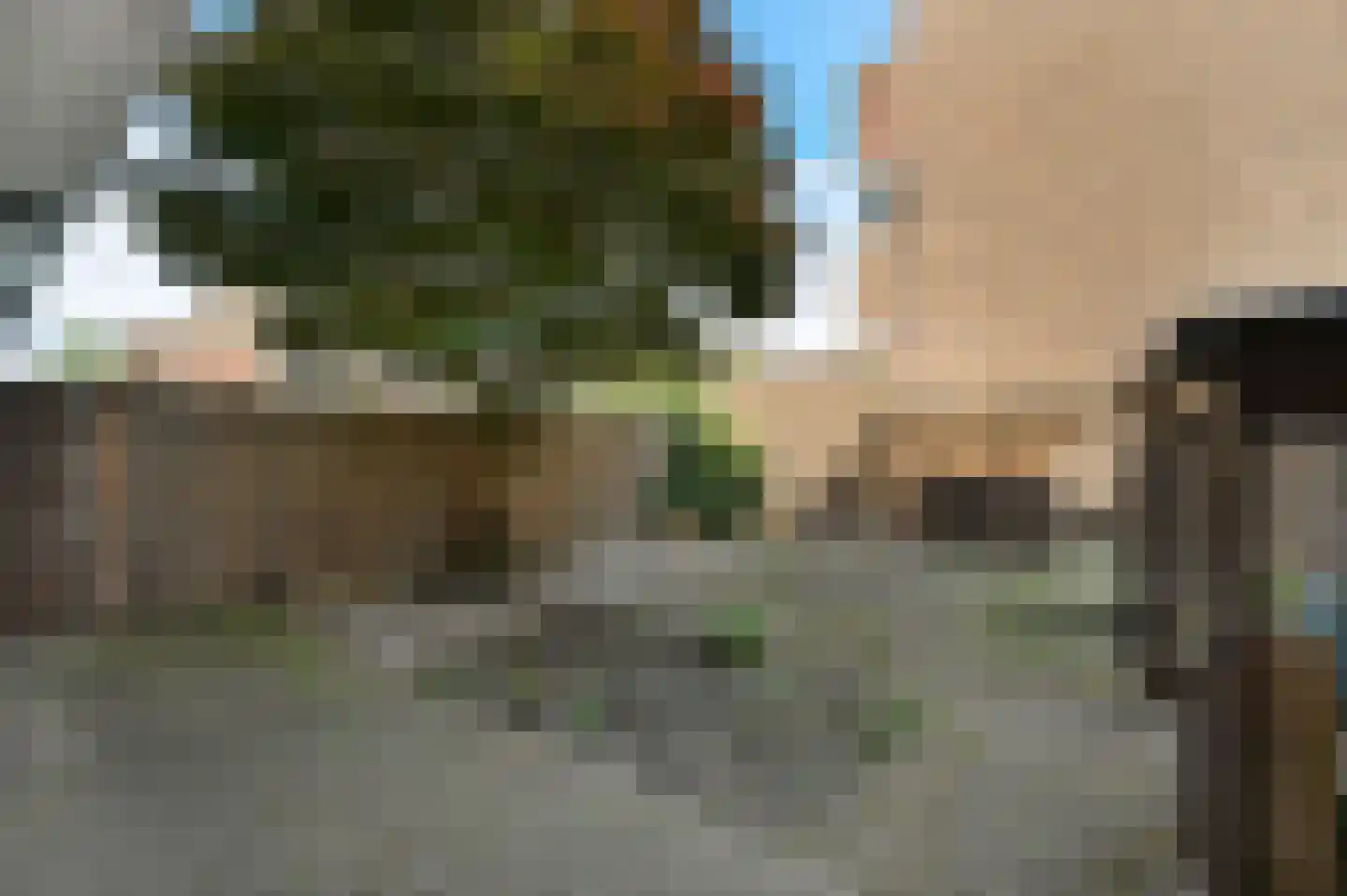 Theresiastraat 420 Den Haag thumbnail 21