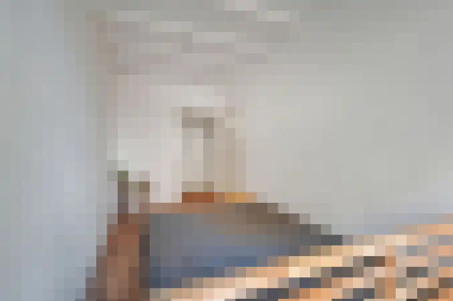 Theresiastraat 420 Den Haag thumbnail 24