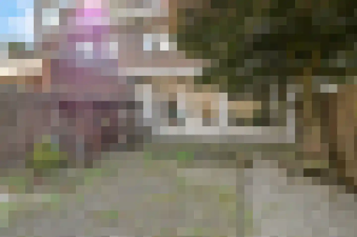 Theresiastraat 420 Den Haag thumbnail 4
