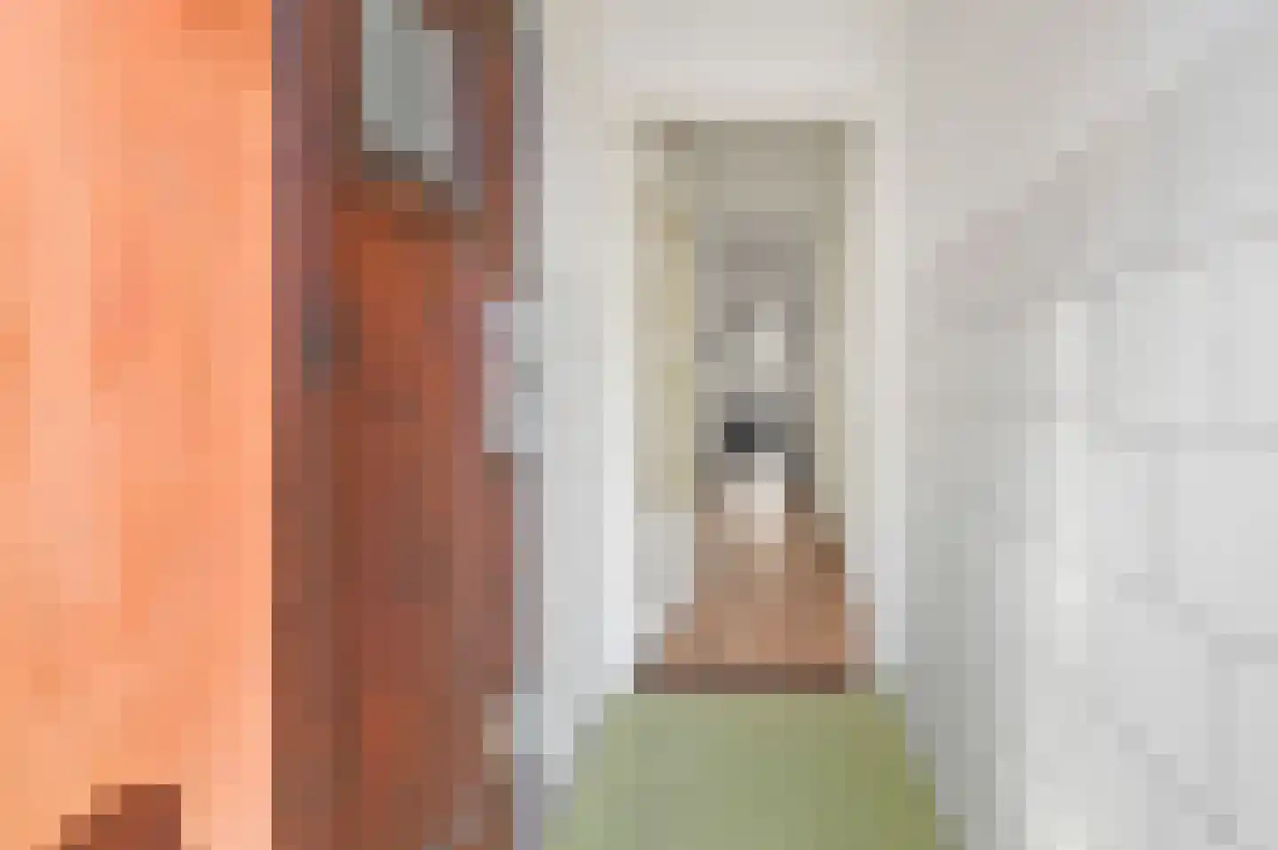 Theresiastraat 420 Den Haag thumbnail 6