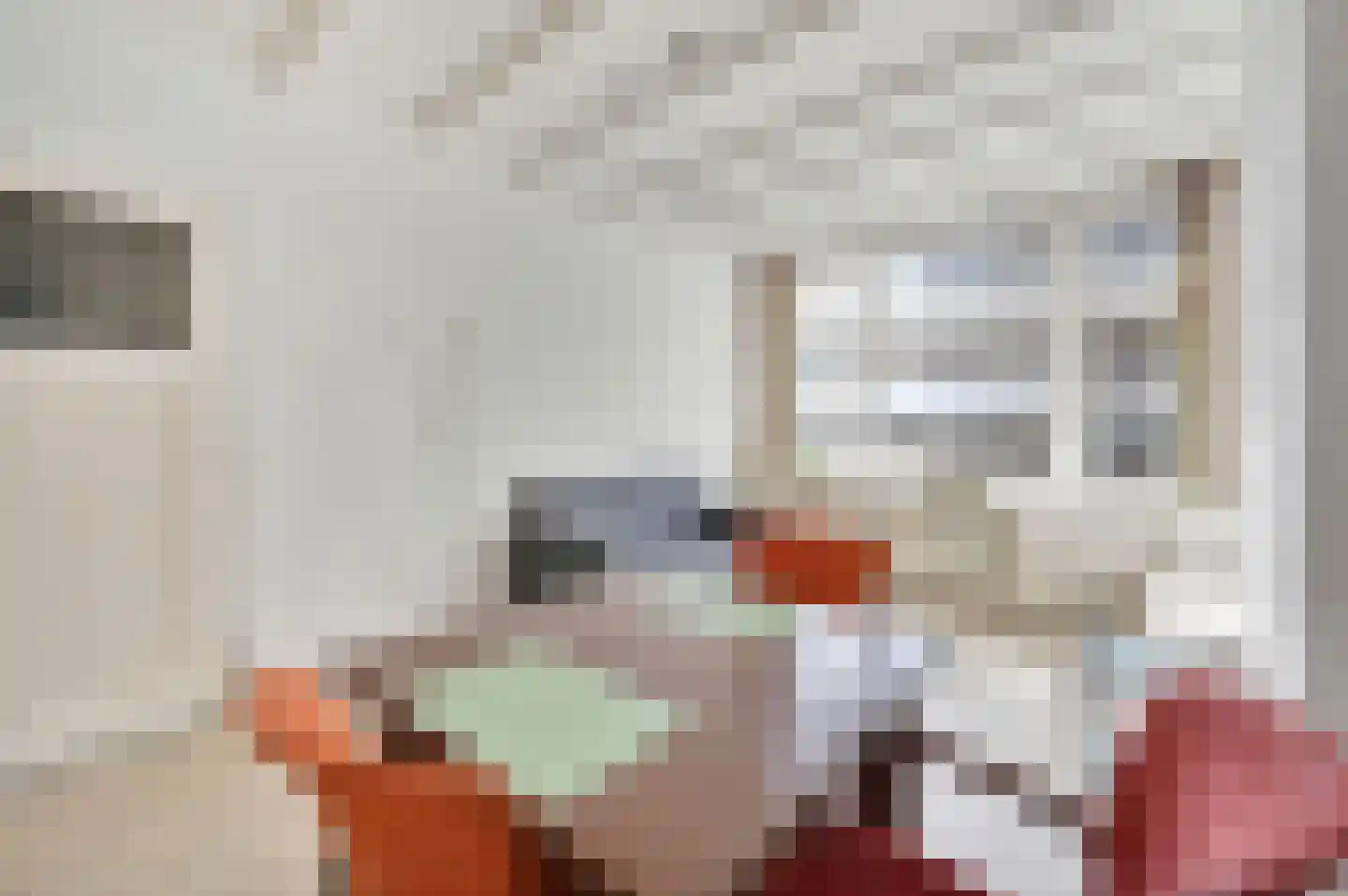 Theresiastraat 420 Den Haag thumbnail 9