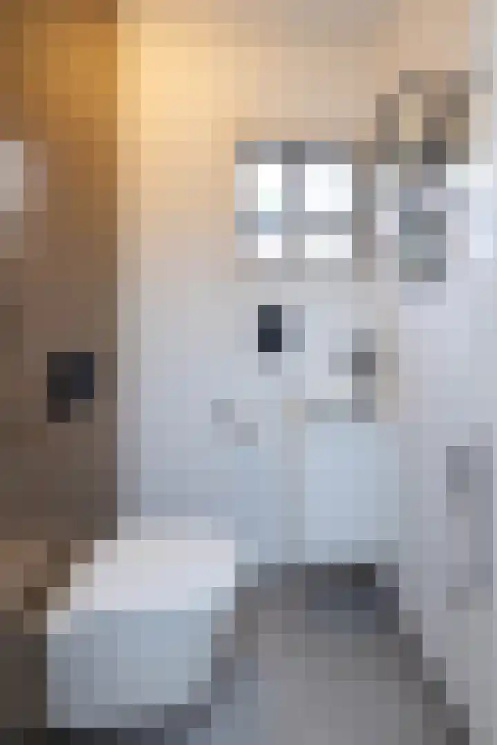 Theresiastraat 6 Borne thumbnail 14
