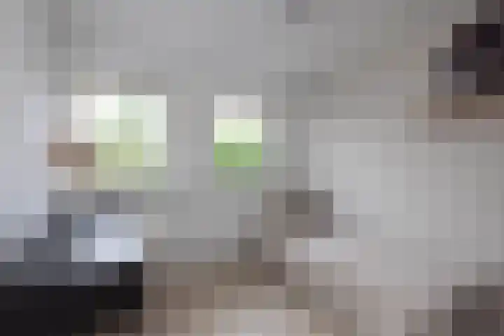 Theresiastraat 6 Borne thumbnail 17