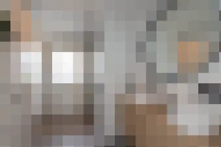 Theresiastraat 6 Borne thumbnail 19
