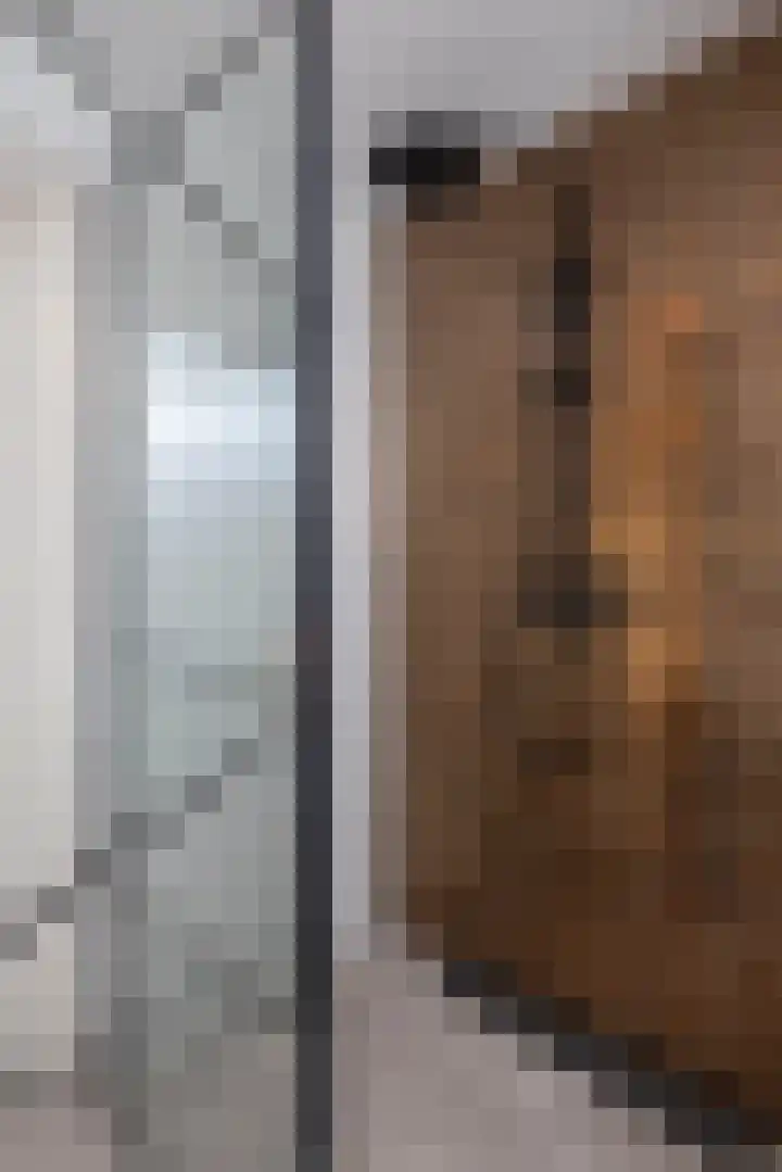 Theresiastraat 6 Borne thumbnail 20