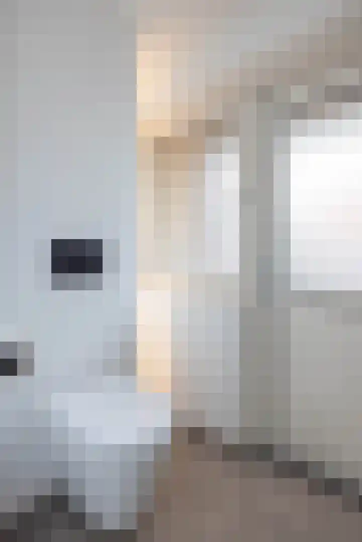 Theresiastraat 6 Borne thumbnail 22