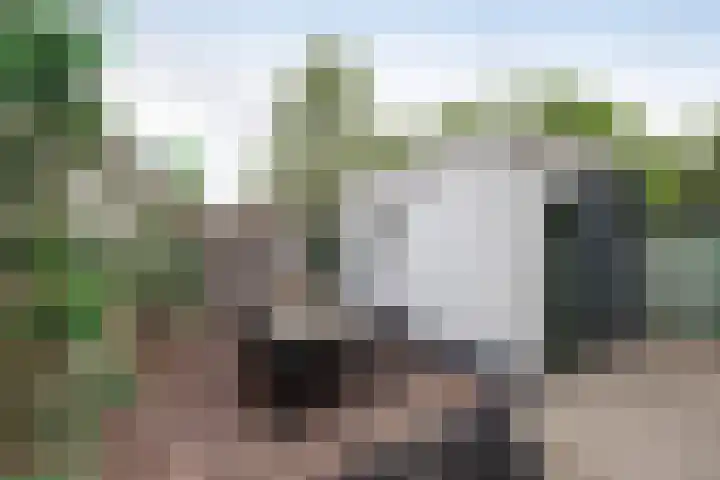 Theresiastraat 6 Borne thumbnail 24
