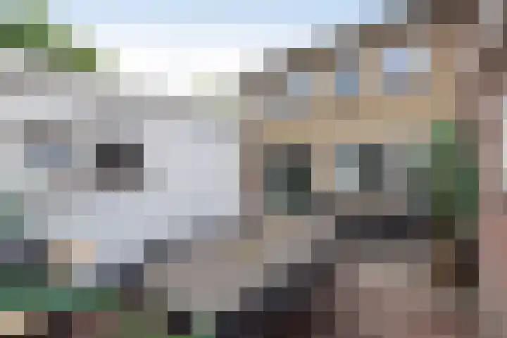 Theresiastraat 6 Borne thumbnail 27