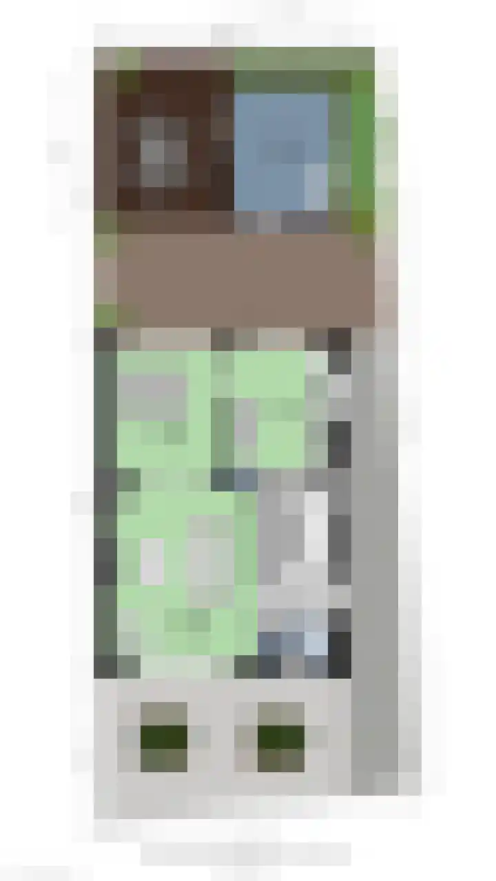 Theresiastraat 6 Borne thumbnail 36