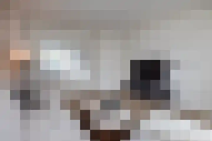 Theresiastraat 6 Borne thumbnail 5
