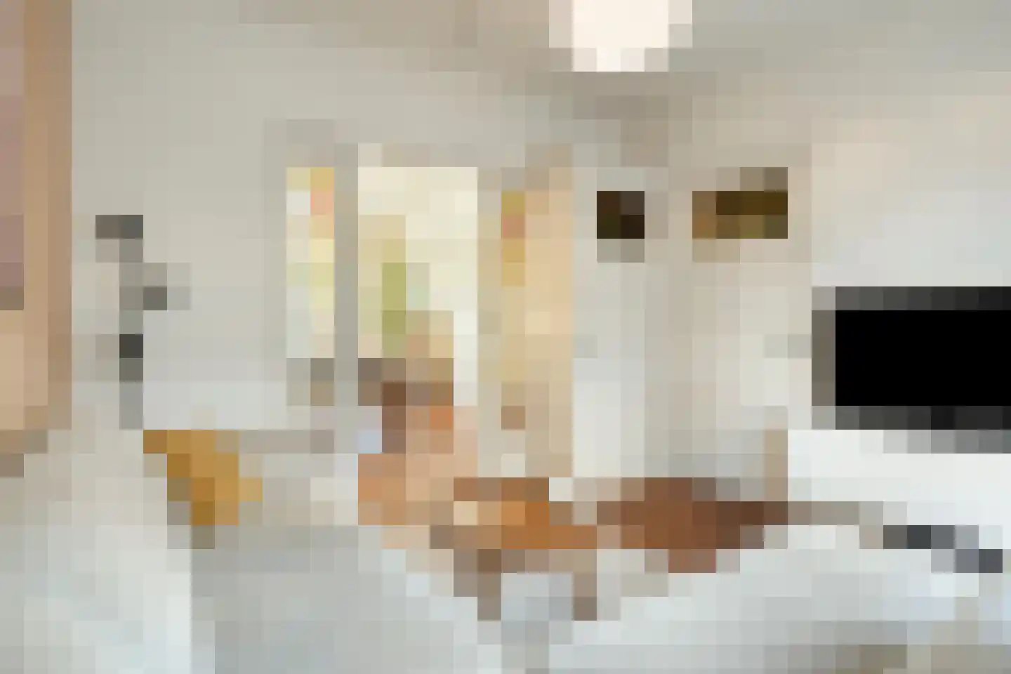Theresiastraat 6 Tilburg thumbnail 13
