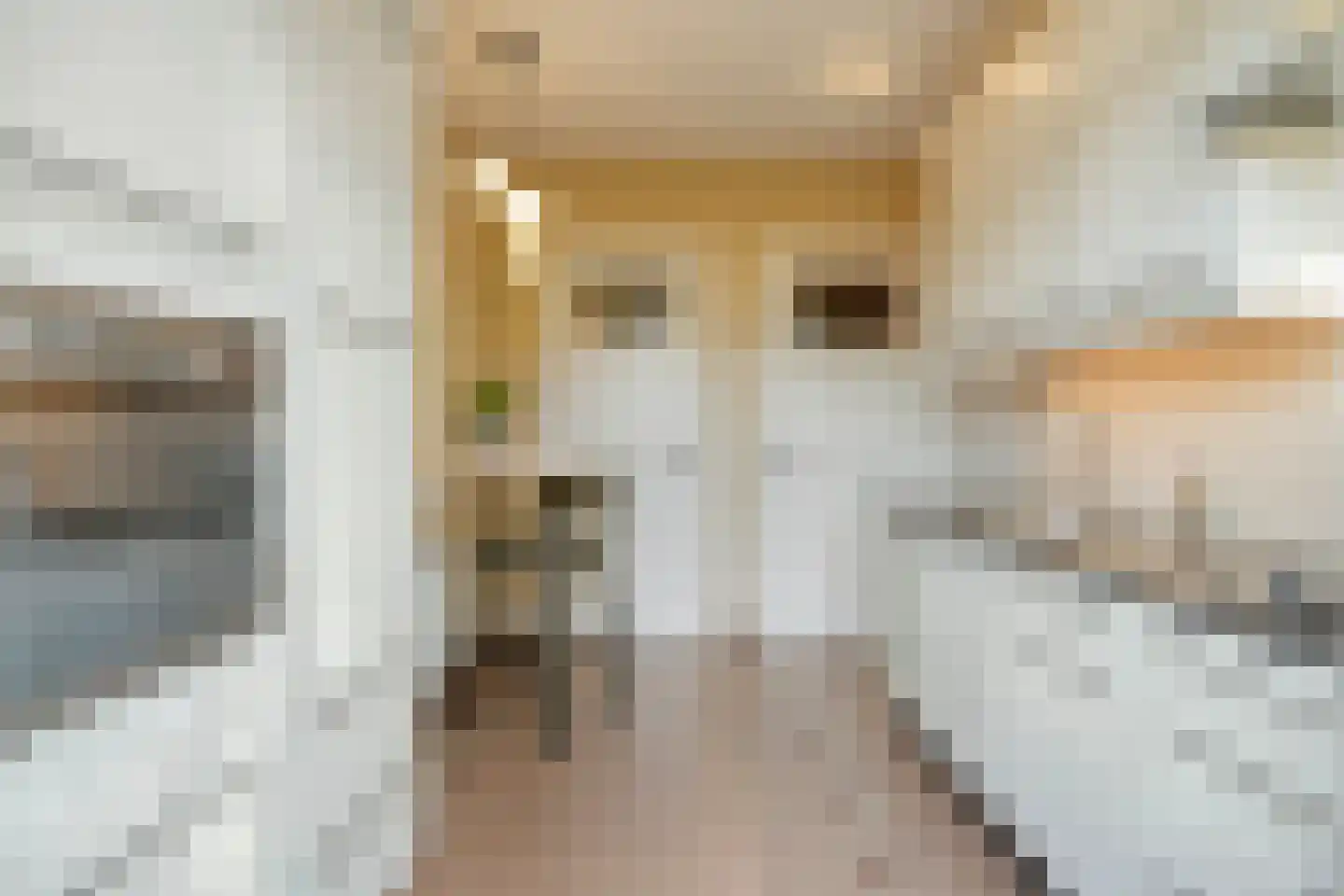 Theresiastraat 6 Tilburg thumbnail 15