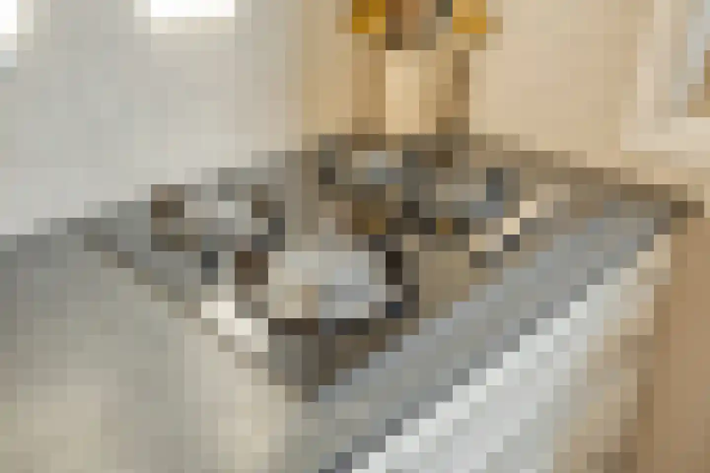 Theresiastraat 6 Tilburg thumbnail 17