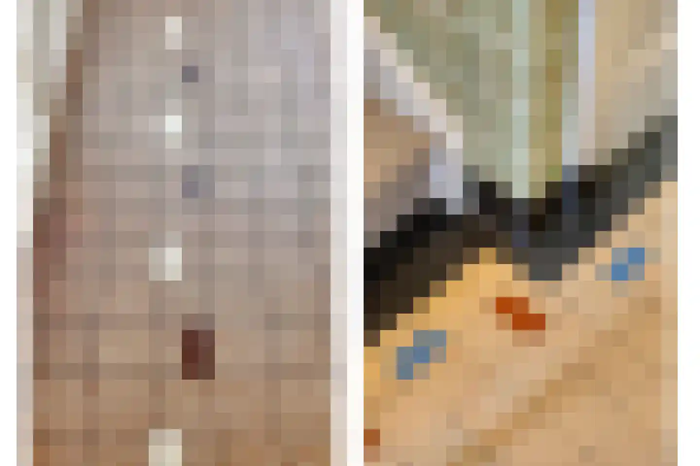 Theresiastraat 6 Tilburg thumbnail 19