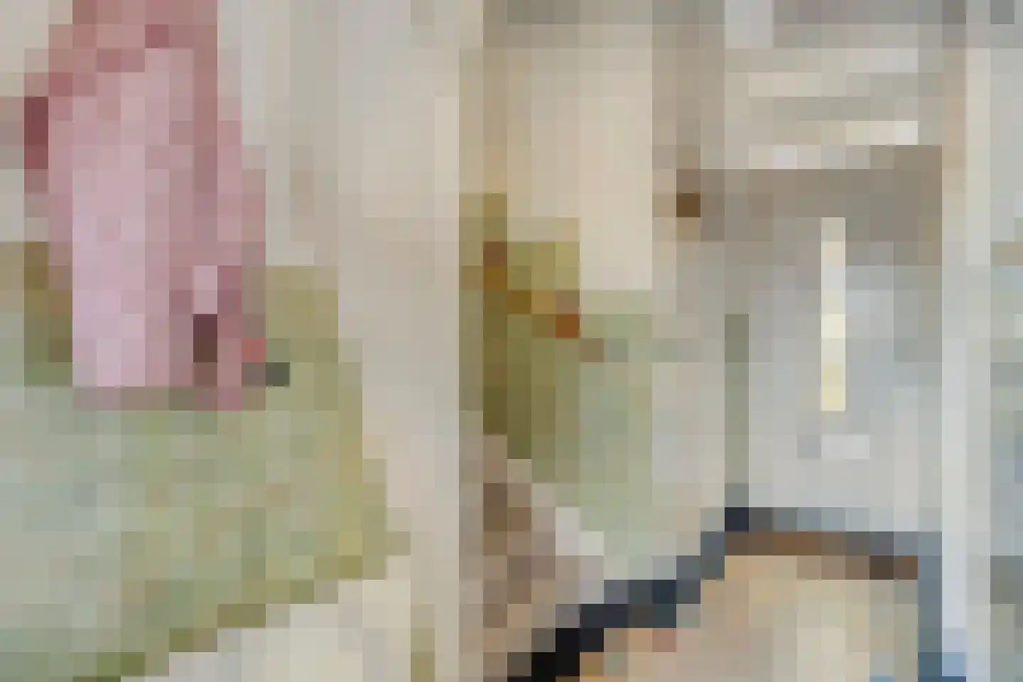 Theresiastraat 6 Tilburg thumbnail 20