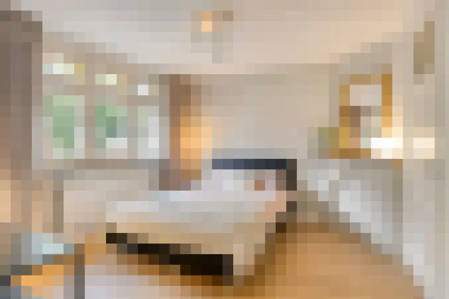 Theresiastraat 6 Tilburg thumbnail 27
