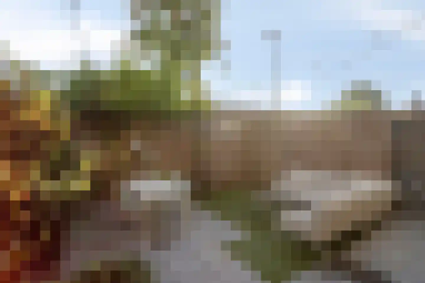 Theresiastraat 6 Tilburg thumbnail 34