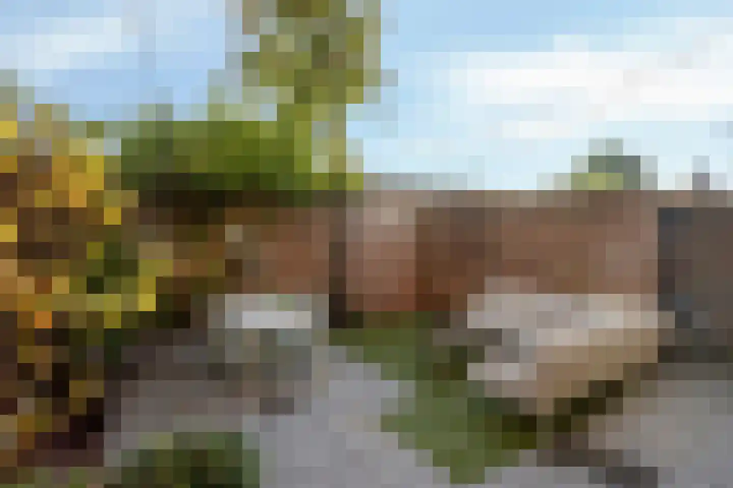 Theresiastraat 6 Tilburg thumbnail 35