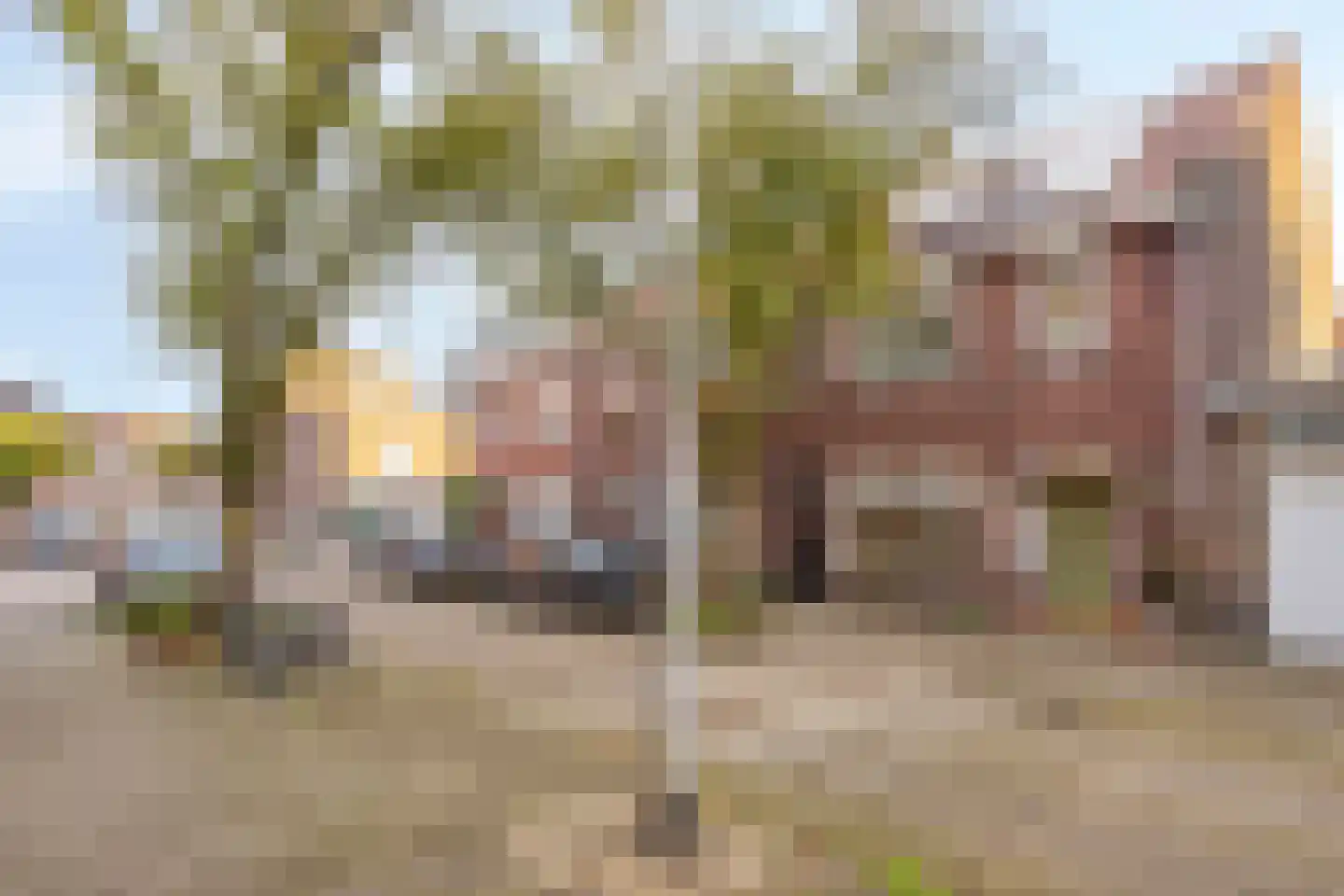 Theresiastraat 6 Tilburg thumbnail 38