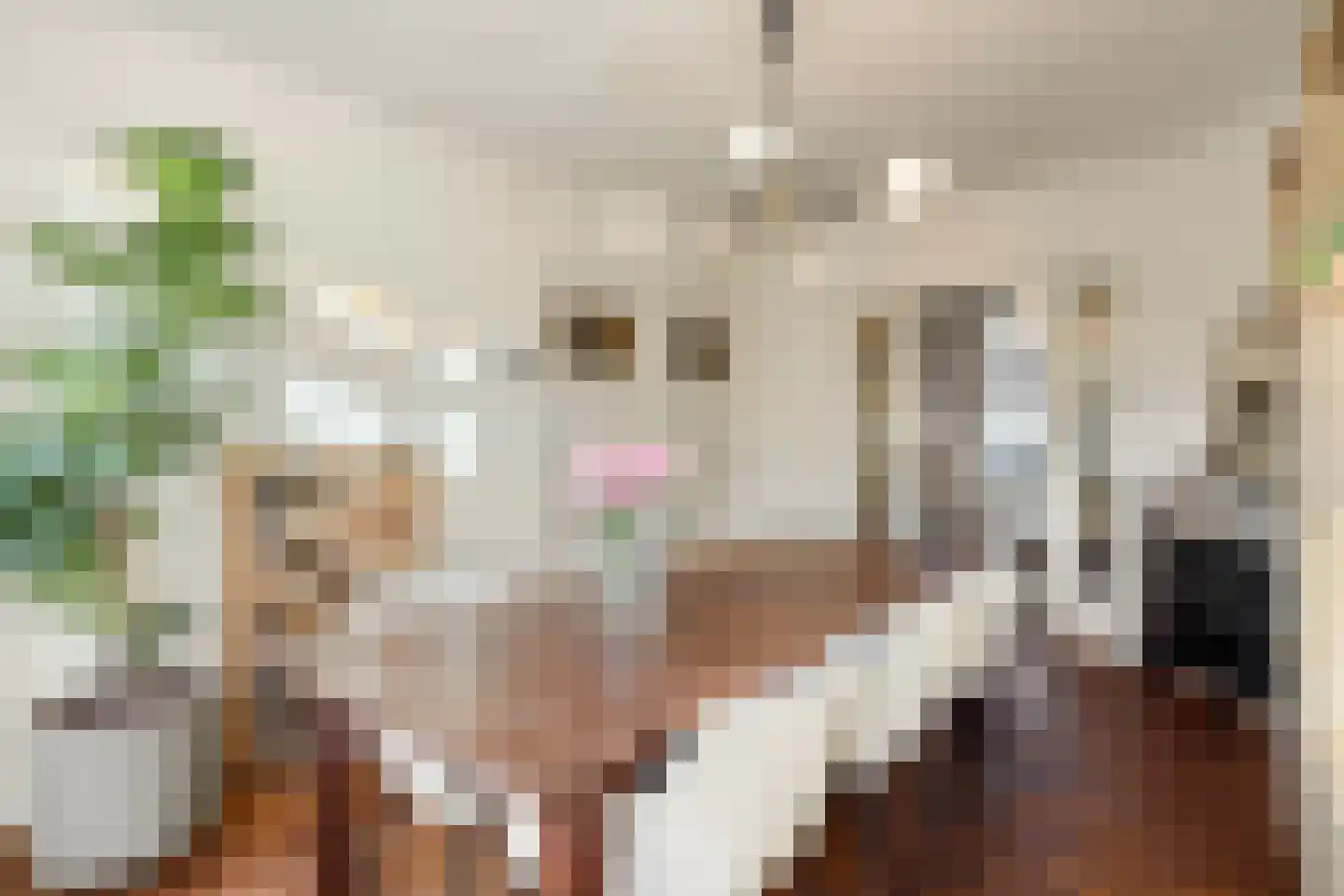 Theresiastraat 6 Tilburg thumbnail 5