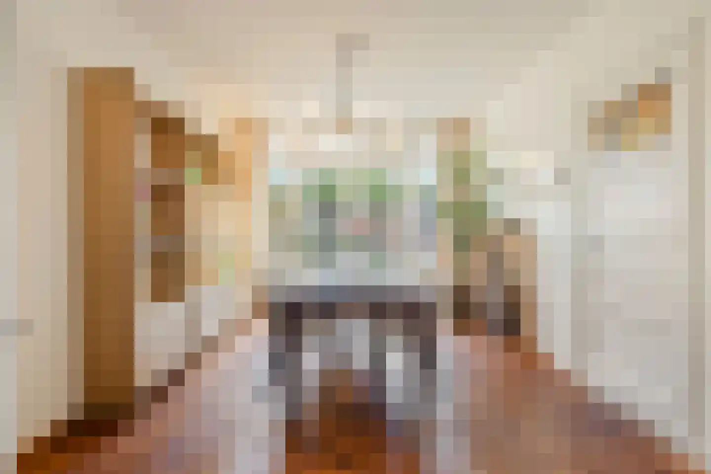 Theresiastraat 6 Tilburg thumbnail 8