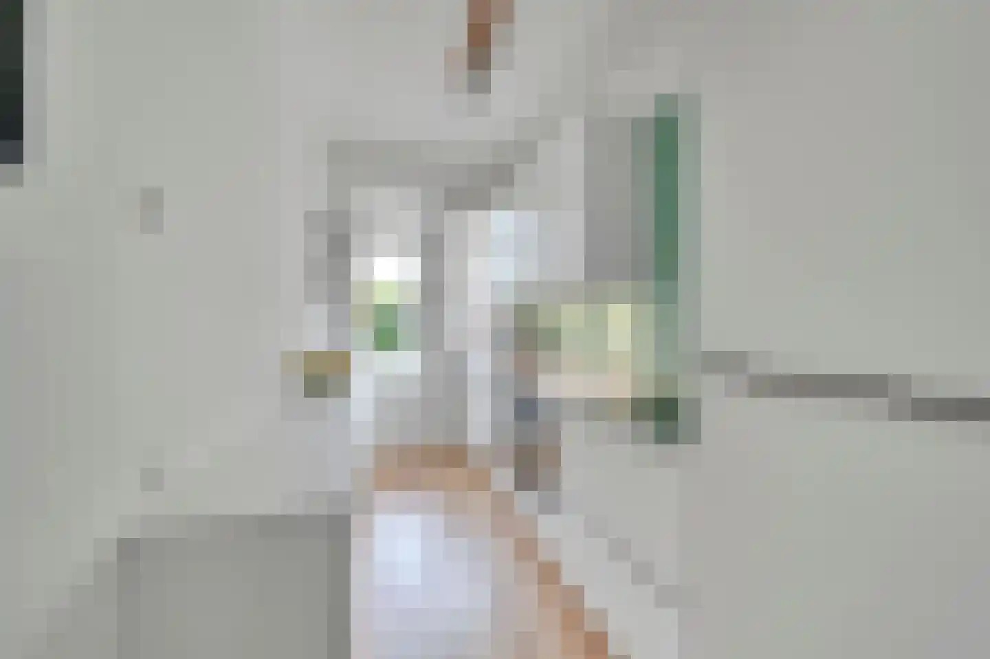 Theresiastraat 62 Den Haag thumbnail 13