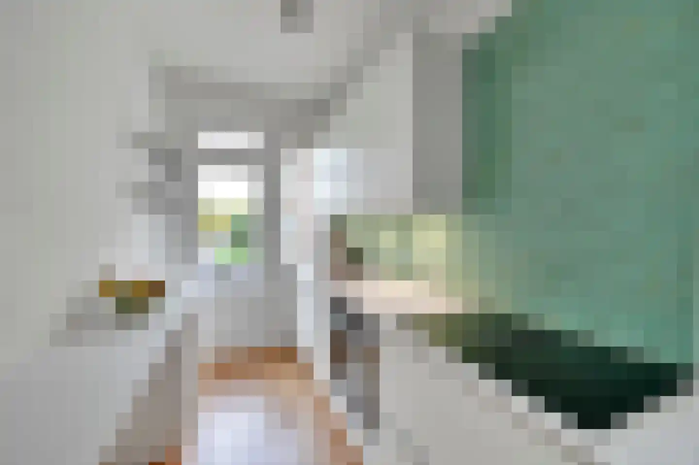 Theresiastraat 62 Den Haag thumbnail 14