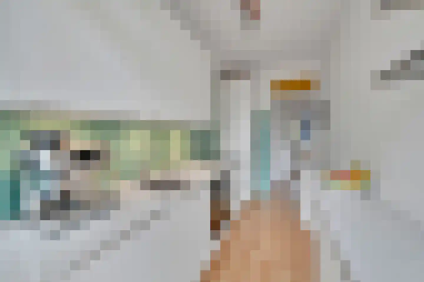 Theresiastraat 62 Den Haag thumbnail 15