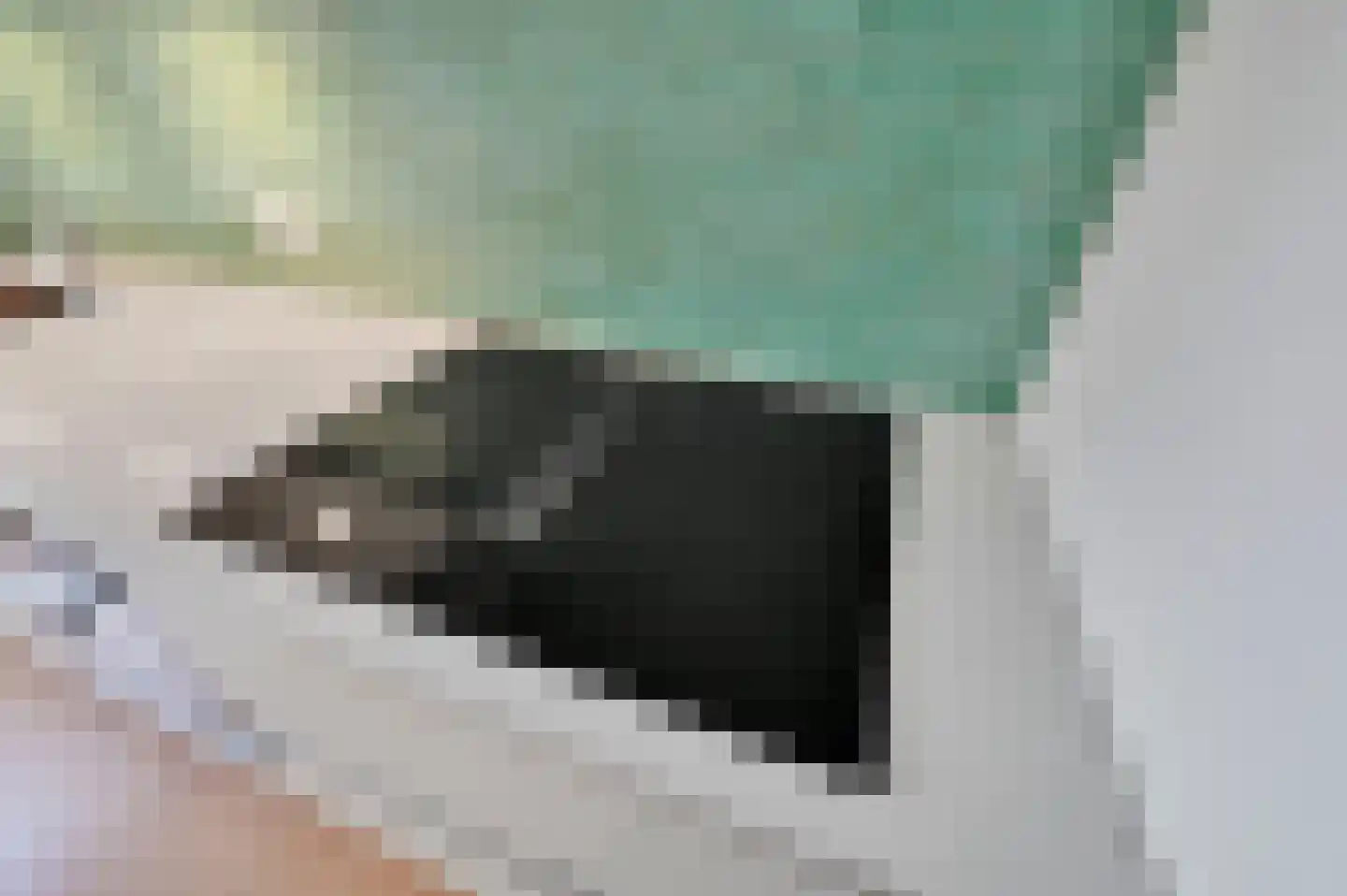 Theresiastraat 62 Den Haag thumbnail 16