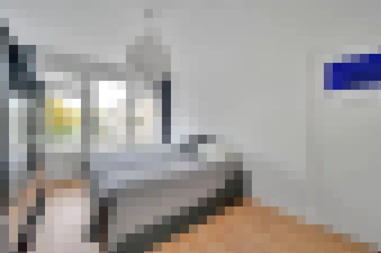 Theresiastraat 62 Den Haag thumbnail 19