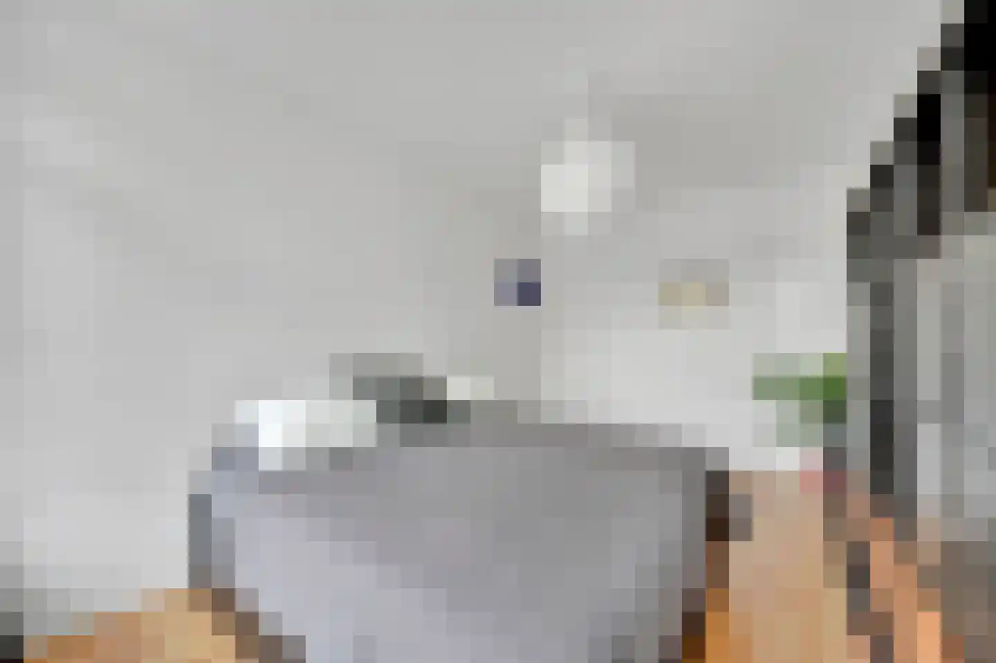 Theresiastraat 62 Den Haag thumbnail 21