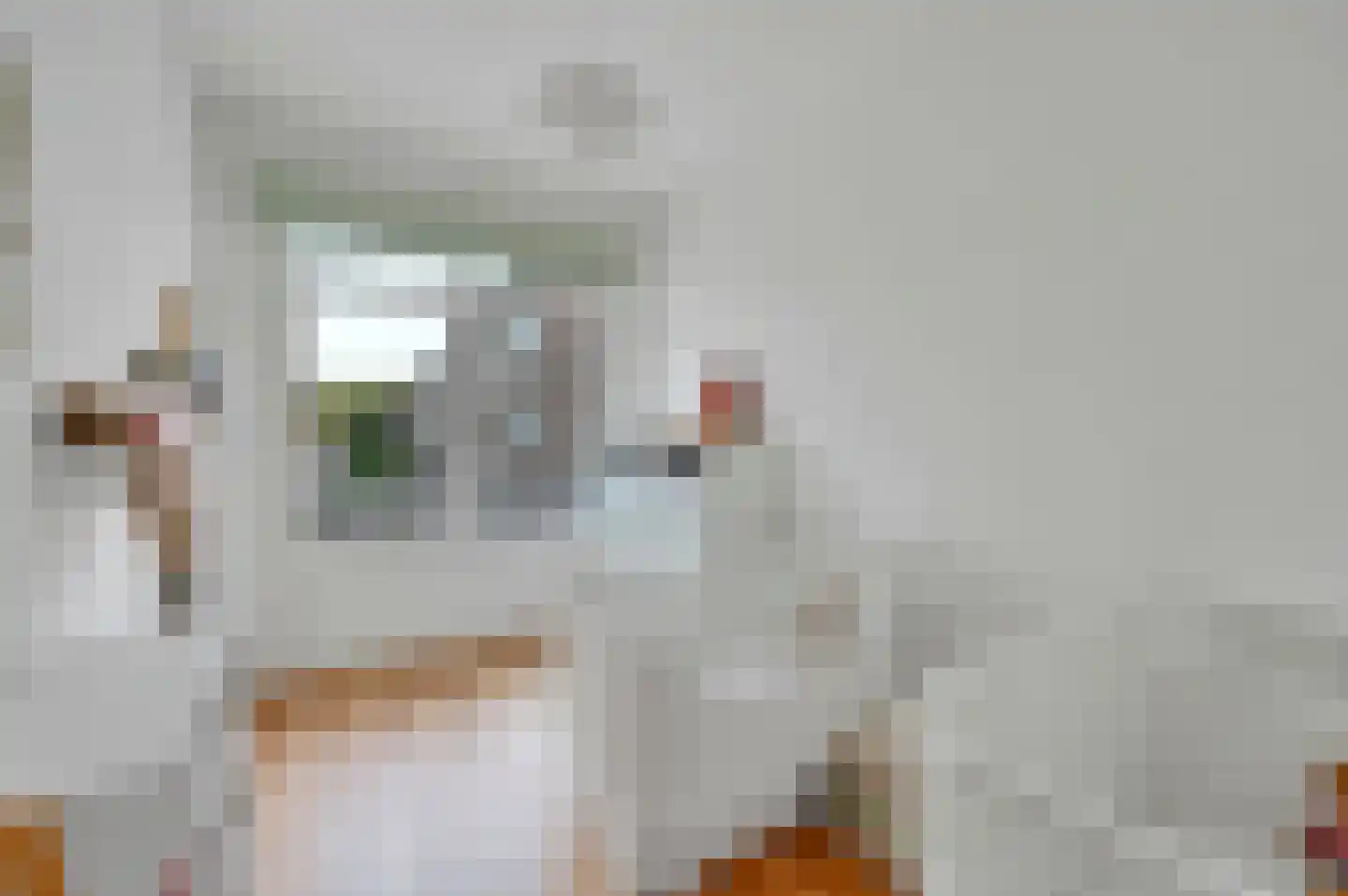 Theresiastraat 62 Den Haag thumbnail 22