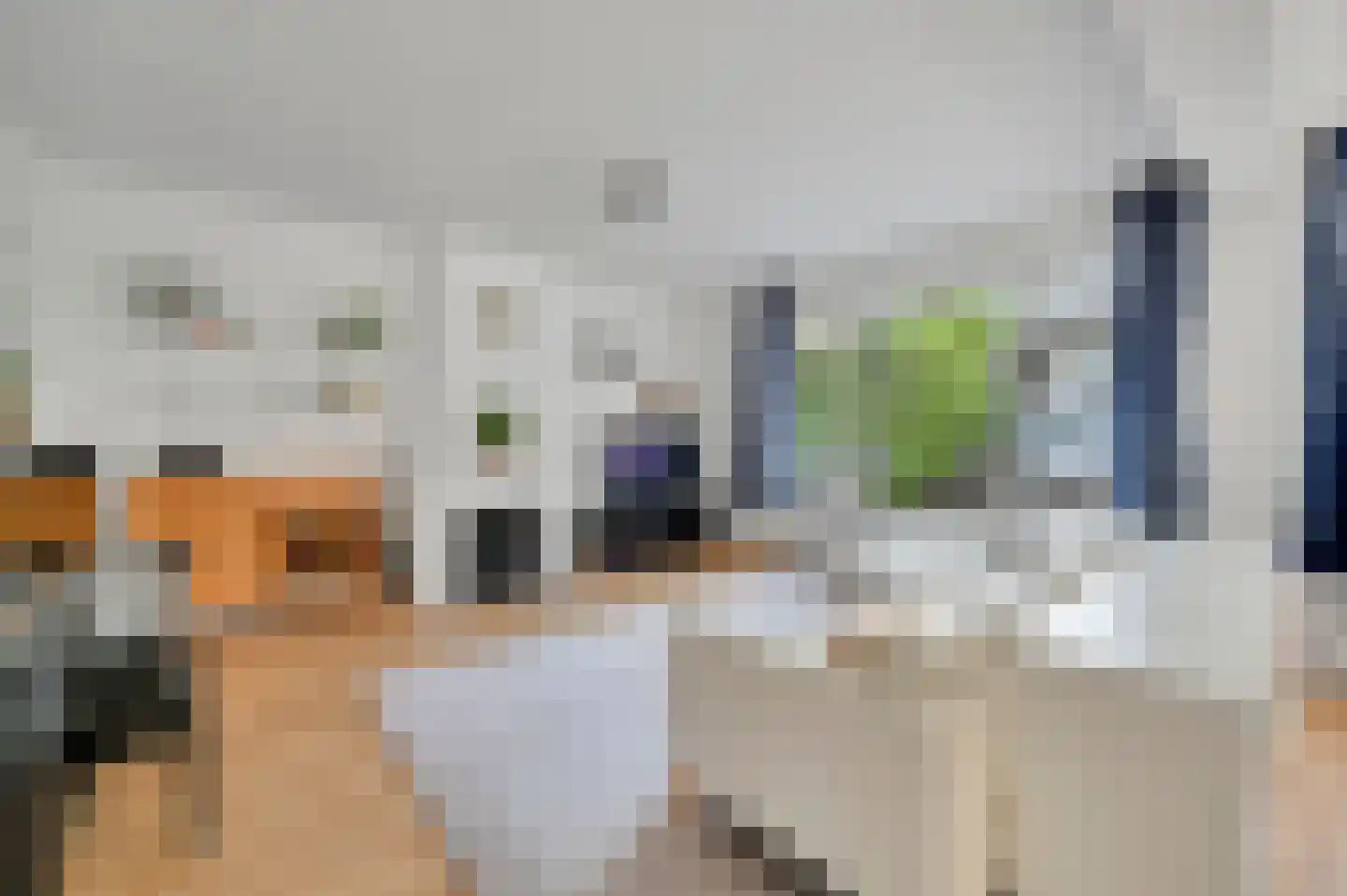Theresiastraat 62 Den Haag thumbnail 6