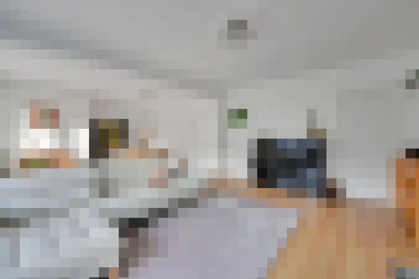 Theresiastraat 62 Den Haag thumbnail 7
