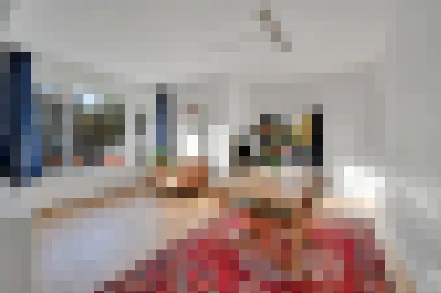 Theresiastraat 62 Den Haag thumbnail 8