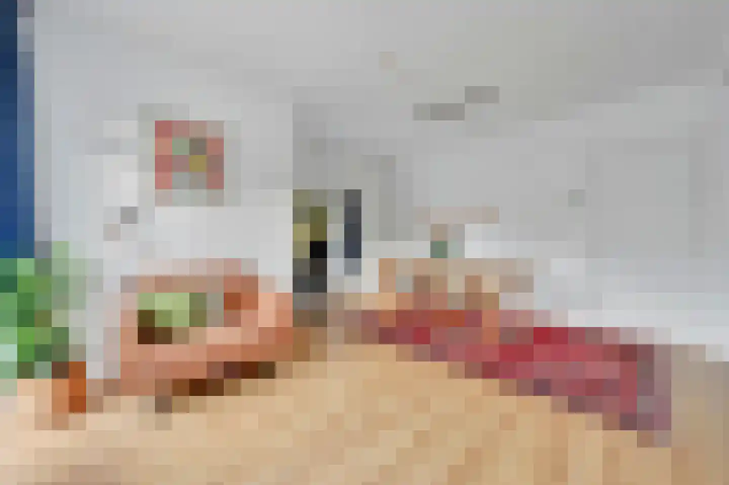 Theresiastraat 62 Den Haag thumbnail 9
