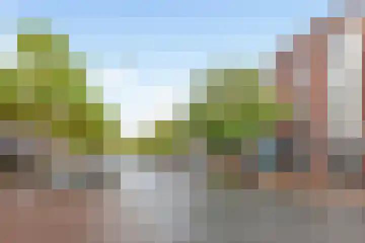 Theresiastraat 65 A in Den Haag