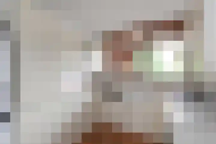 Theresiastraat 65 A Den Haag thumbnail 16