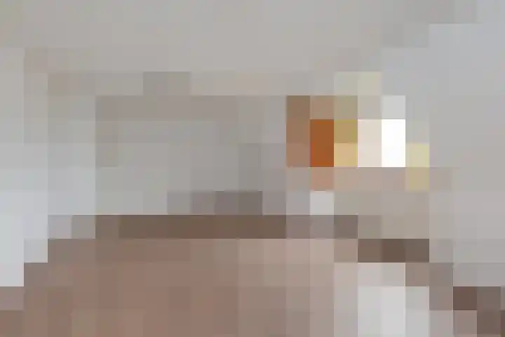 Theresiastraat 65 A Den Haag thumbnail 19