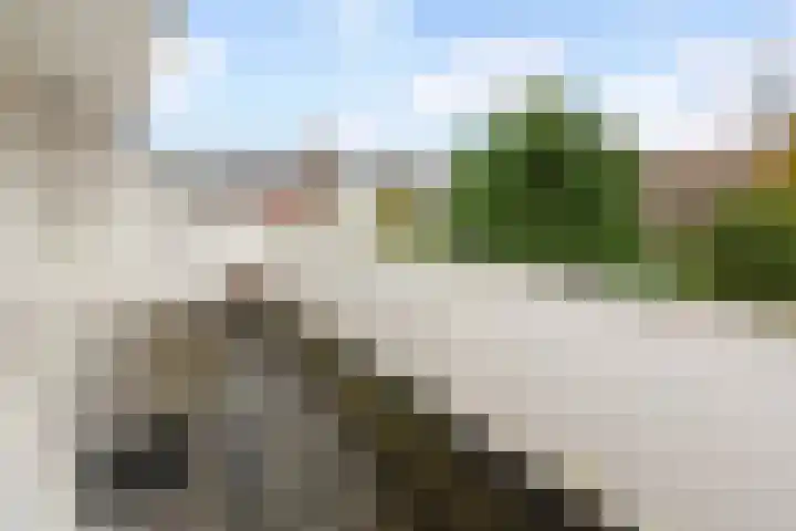 Theresiastraat 65 A Den Haag thumbnail 25