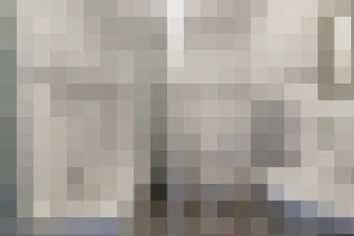 Theresiastraat 65 A Den Haag thumbnail 26