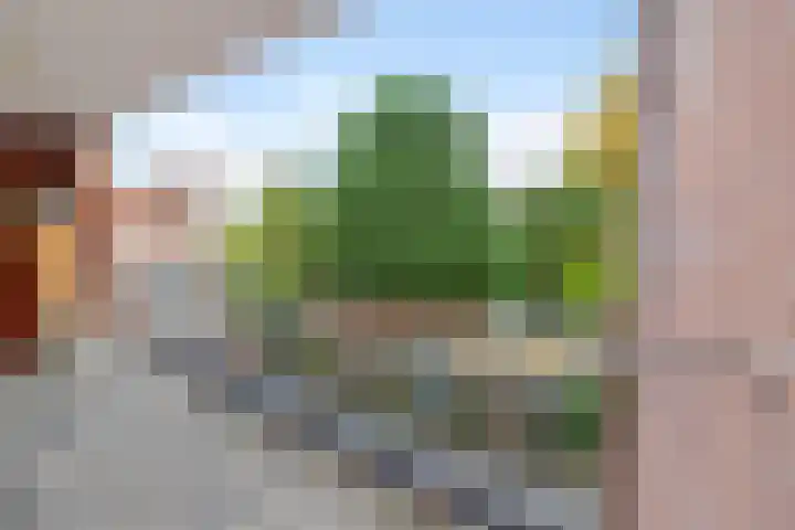 Theresiastraat 65 A Den Haag thumbnail 27